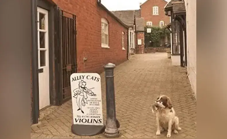 Alley Cats Violins